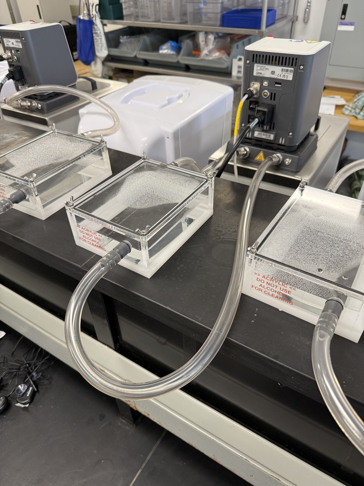 Water baths connected to an immersion circulator by tubing