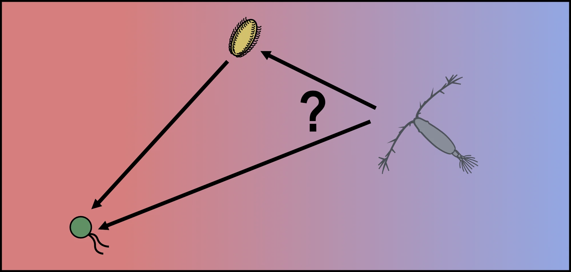 Schematic of a copepod choosing between two food sources, with a question mark, over a warm-to-cool color gradient